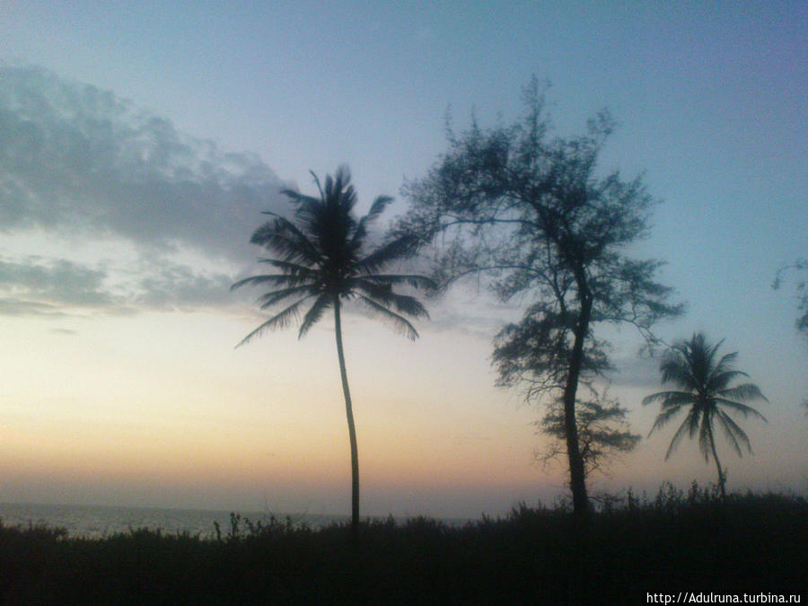 Закат.. Особое время... Арамболь, Индия