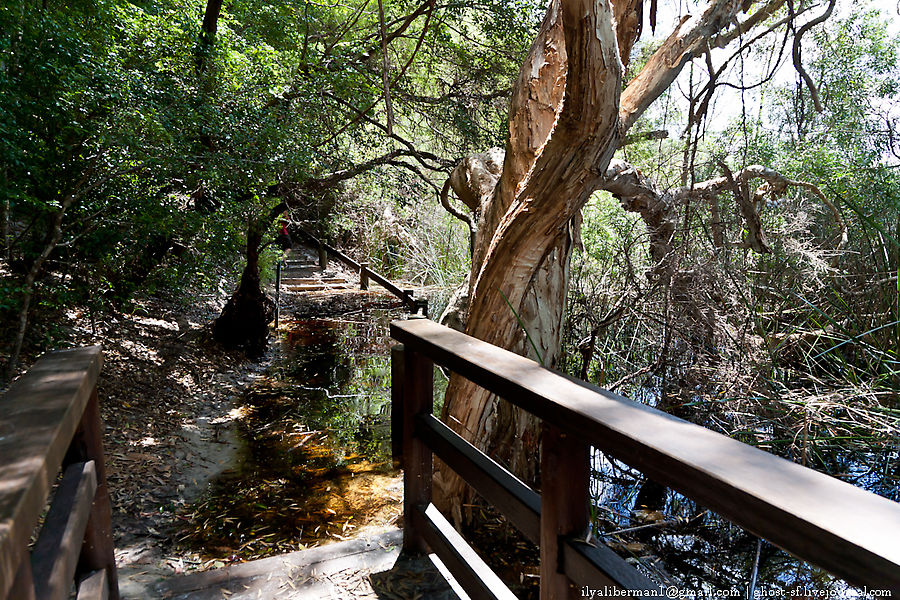 #2 Lake Allom озеро с черепашками