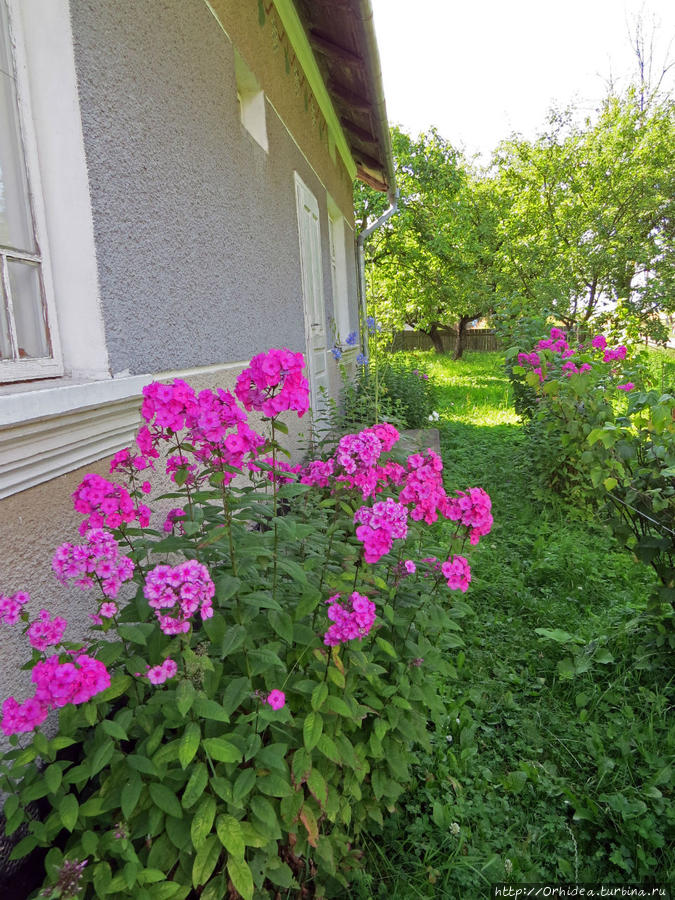 Вот моя деревня, вот мой дом родной Кадобна, Украина
