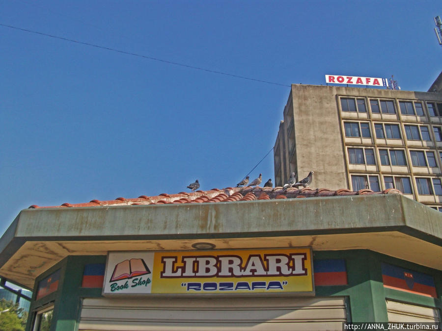 Шкодер — город читающих людей (судя по количеству библиотек). Шкодер, Албания