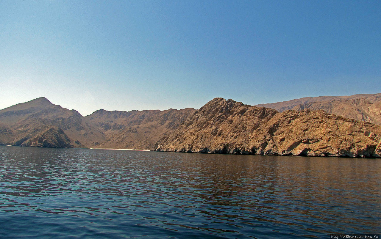 Стандартная морская прогулка вдоль полуострова Мусандам Регион Мусандам, Оман