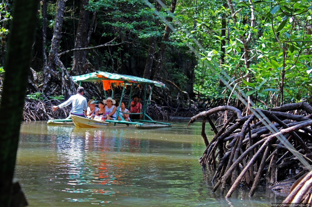 Прогулка на весельной лодке по Мангровой реке Сабанг, остров Палаван, Филиппины