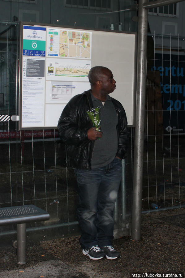 Ландыш  (Convallaria majalis) Франция