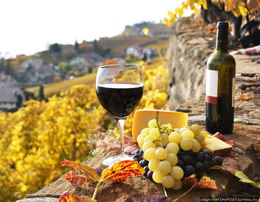 Террасовые виноградники Лаво Веве, Швейцария