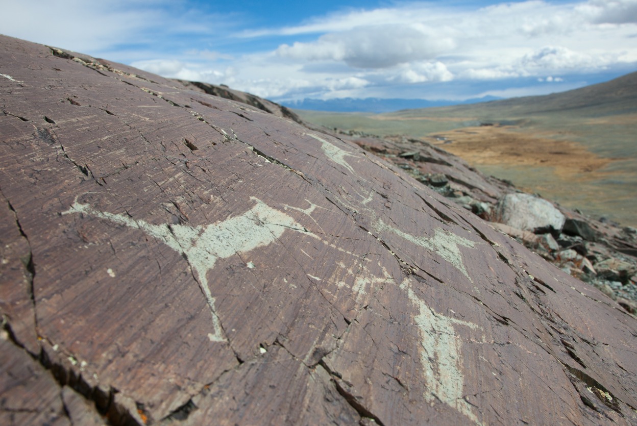 Петроглифы верхнего Цаган-Гола / Upper Tsagaan Gol petroglyphs