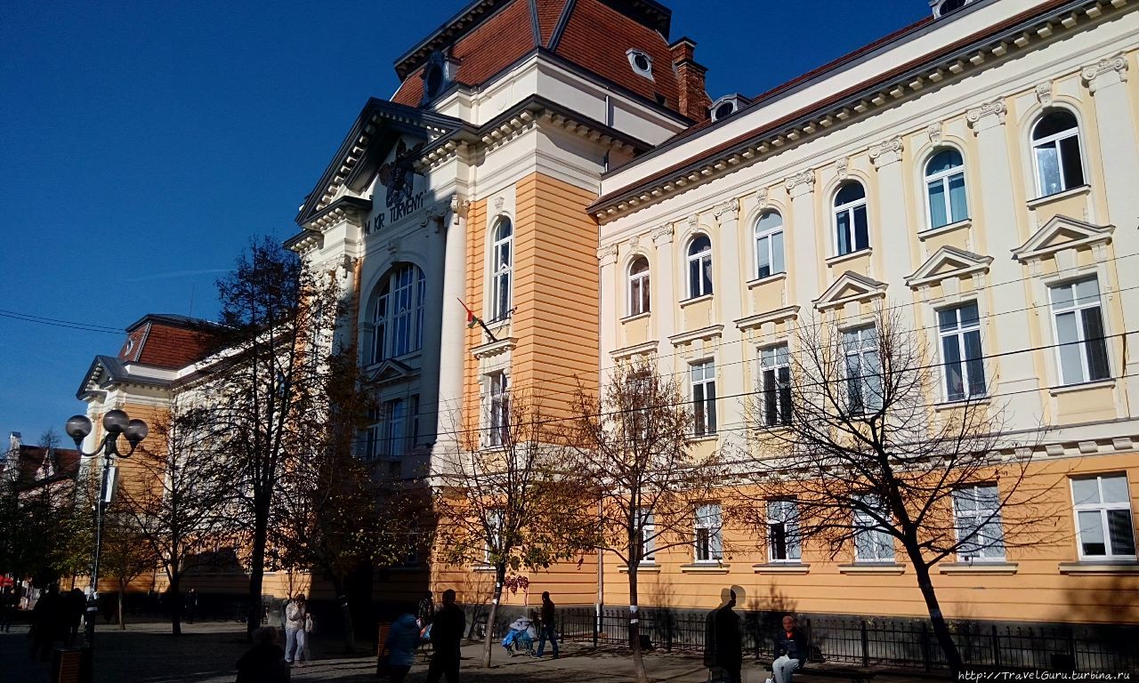 Венгерский университет Ференца Ракоци. Берегово, Украина