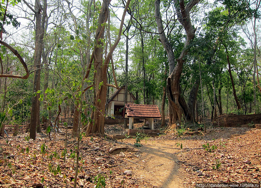 Лесной монастырь Ват Умонг (Wat Umong) Чиангмай, Таиланд