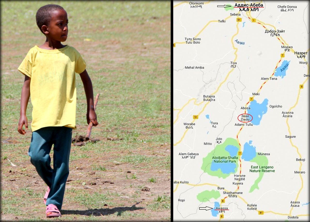 Дорожные зарисовки — Эфиопия. День 1 — озеро Звай Звай, Эфиопия