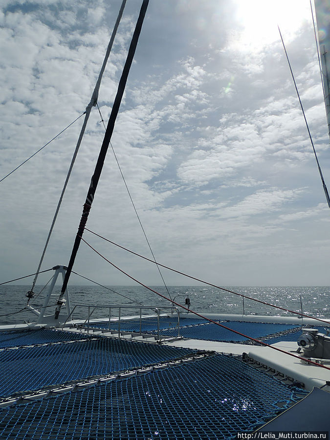 Океанская прогулка с Sea Born Catamaran Фуншал, Португалия