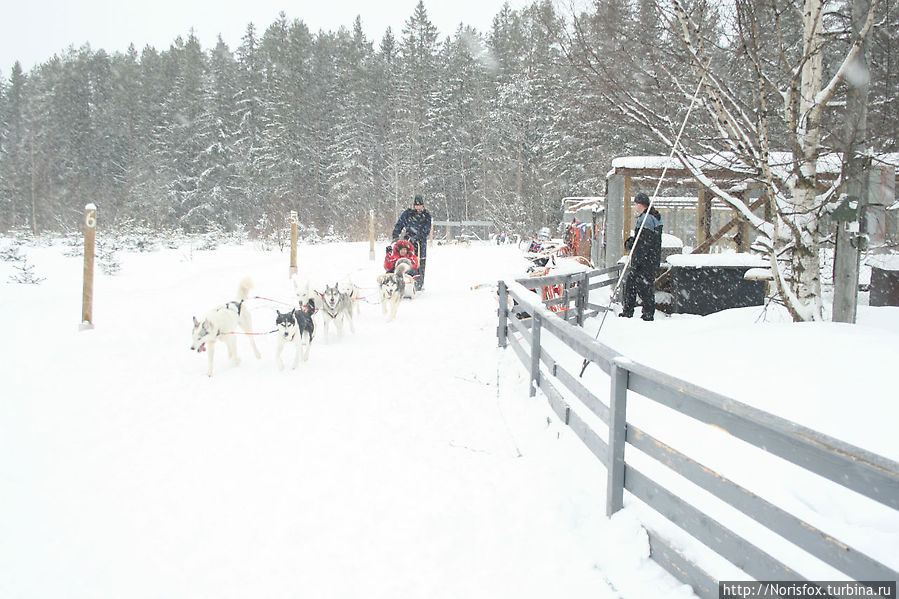 Весенняя Финляндия или как поставить ребенка на горные лыжи Вуокатти, Финляндия
