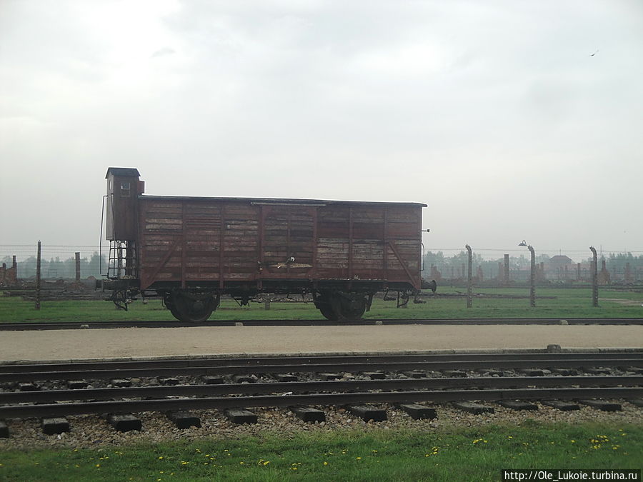 В таких вагонах заключенных привозили в лагерь Освенцим, Польша
