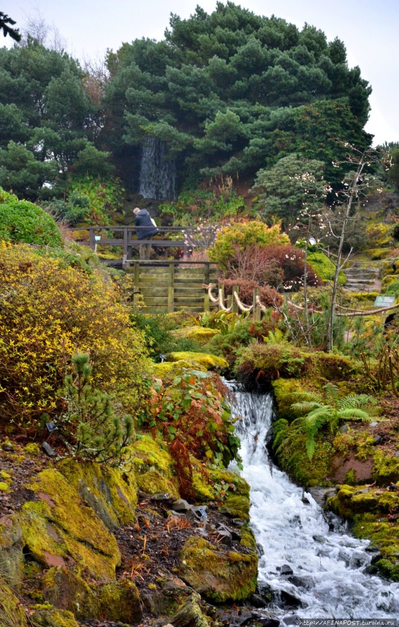 Королевский ботанический сад Эдинбурга Эдинбург, Великобритания