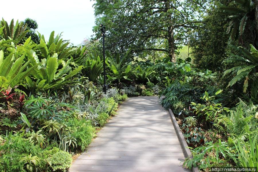 Ботанический сад  Сингапура Сингапур (город-государство)