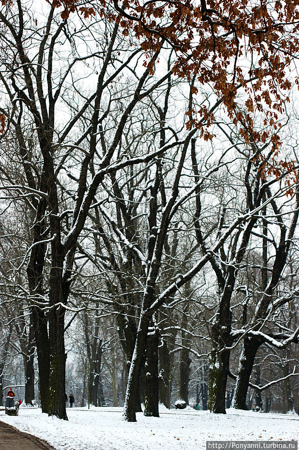 Зимний парк Штутгарт, Германия