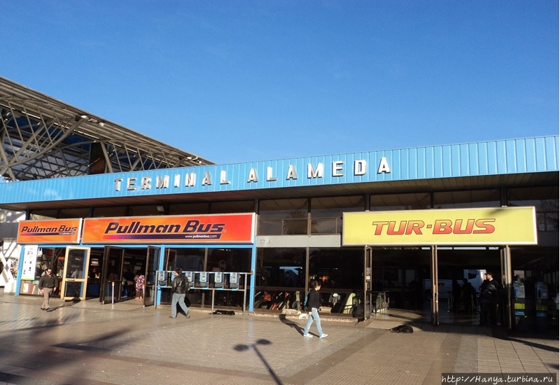 Из интернета