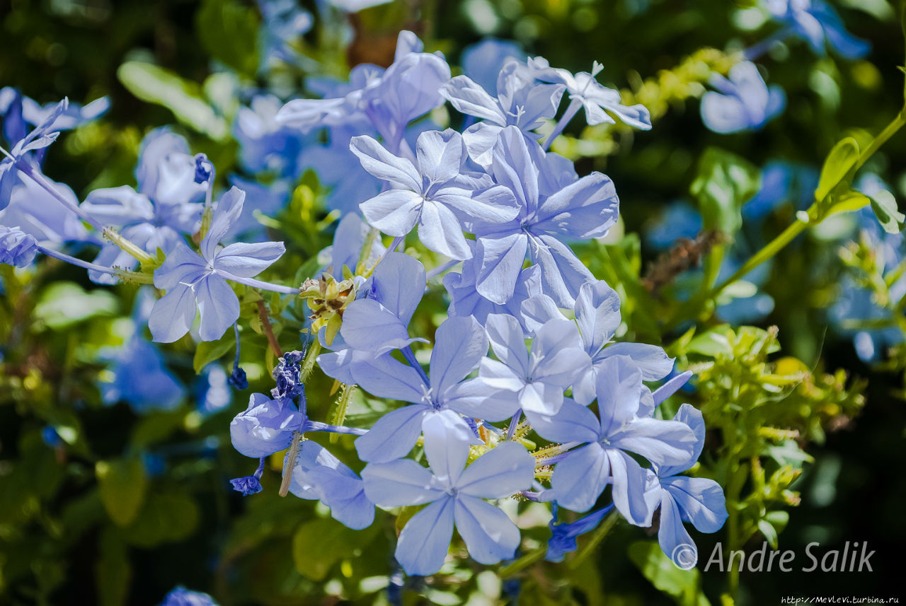 Август. Ситжес Ситжес, Испания