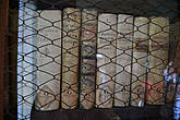 Вот эти книги читались кем-то из предков нынешних Барромео