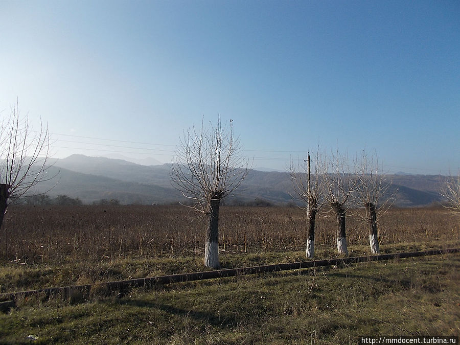 Салатавия: Дылым, Буртунай и другие Дылым, Россия