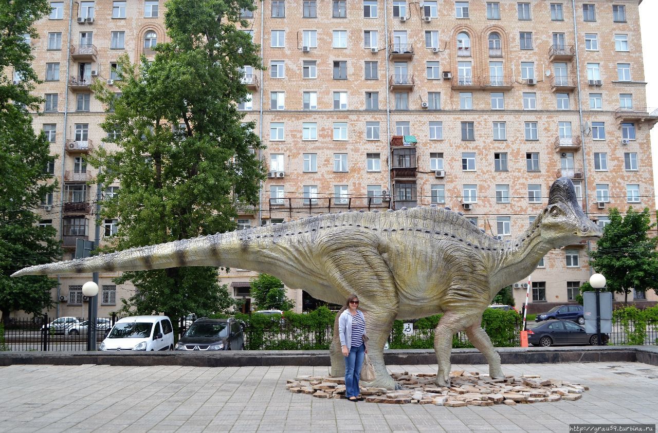 Дарвиновский музей. Динозавры, мамонт и сирень Москва, Россия