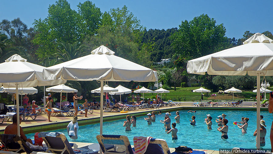 полдень у бассейна