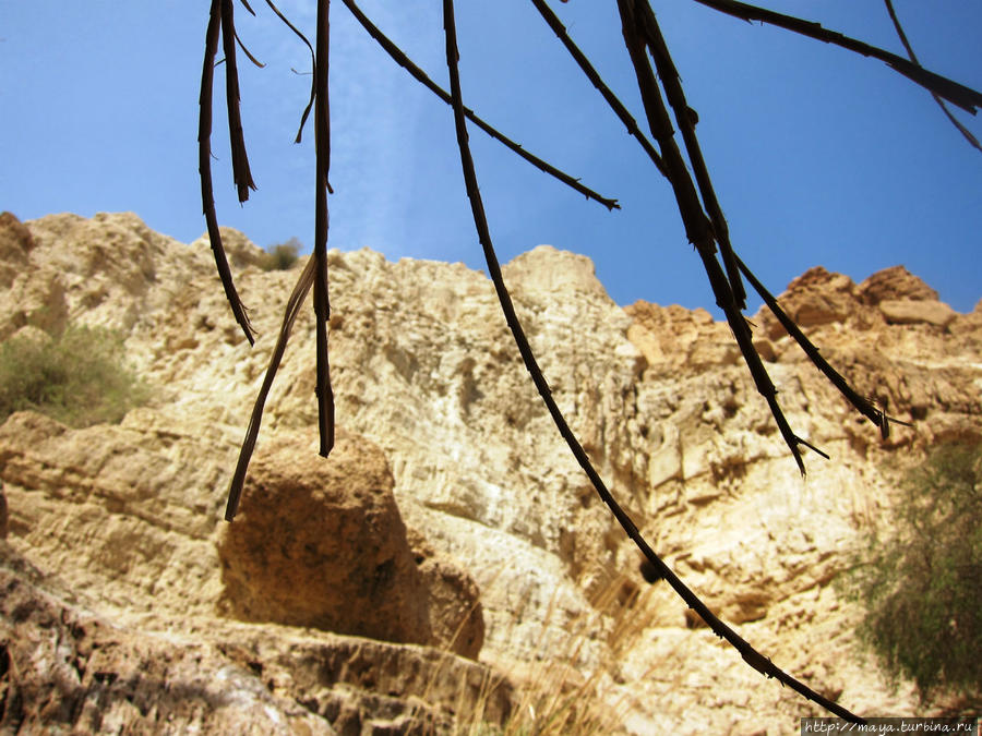 Загадки Иудейской пустыни Мертвое море, Израиль