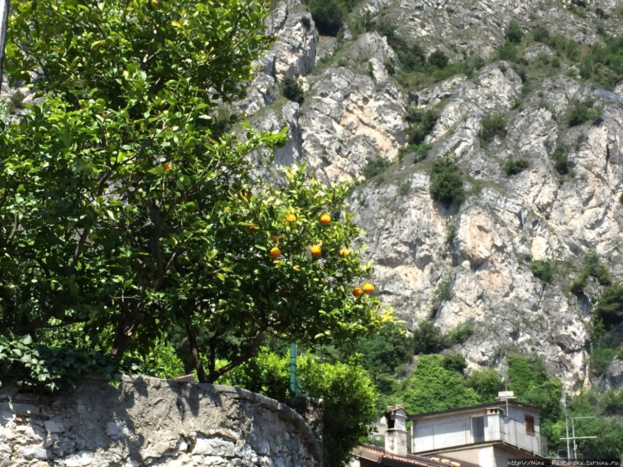 Три в одном: Лимоне, лимоны и лимончелло Лимоне-сул-Гарда, Италия