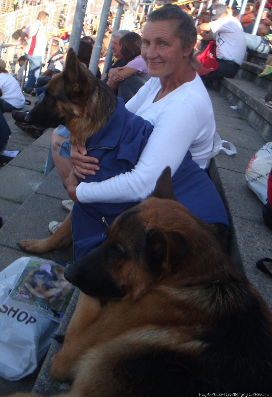 Зигер в Ульме Ульм, Германия