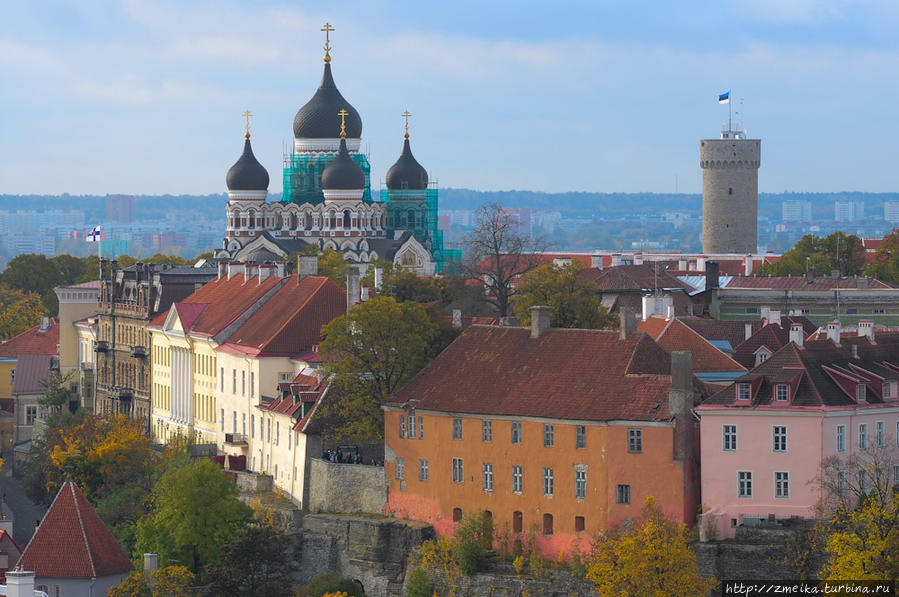Наверное, самая популярная площадка — Рахукохту — с видом на Старого Томаса на башне Ратуши. Таллин, Эстония