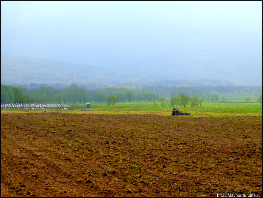 И   в  этом  есть  очарование... Южно-Сахалинск, Россия