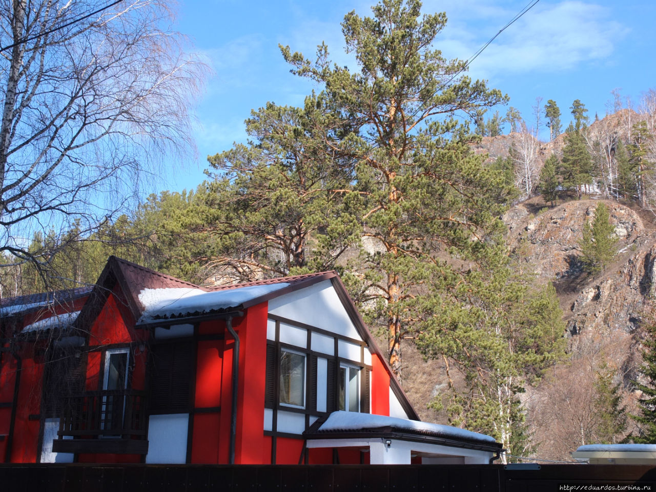 С настроением весеннего леса... Красноярск, Россия