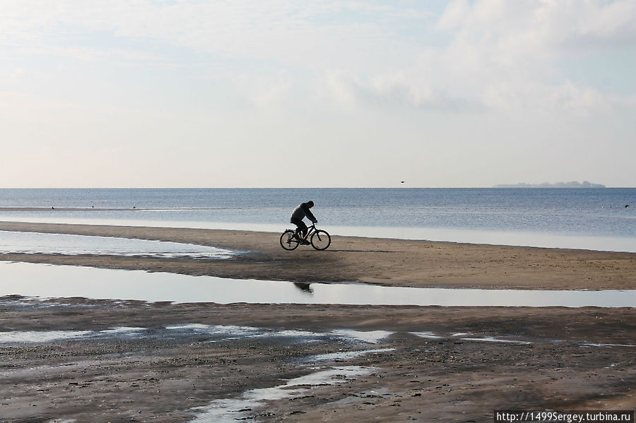 Берег Сестрорецк, Россия