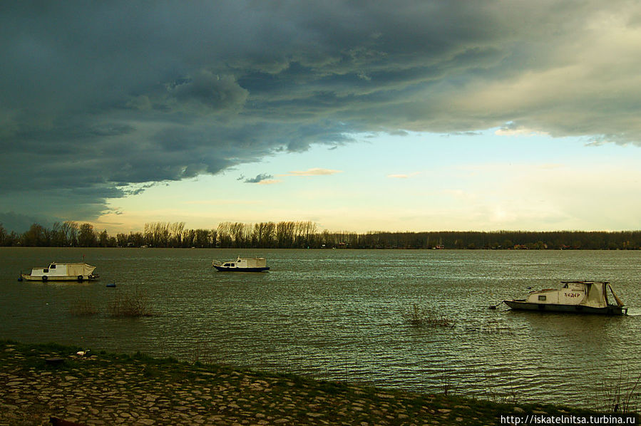 Дунай. Вид с набережной Земуна Белград, Сербия