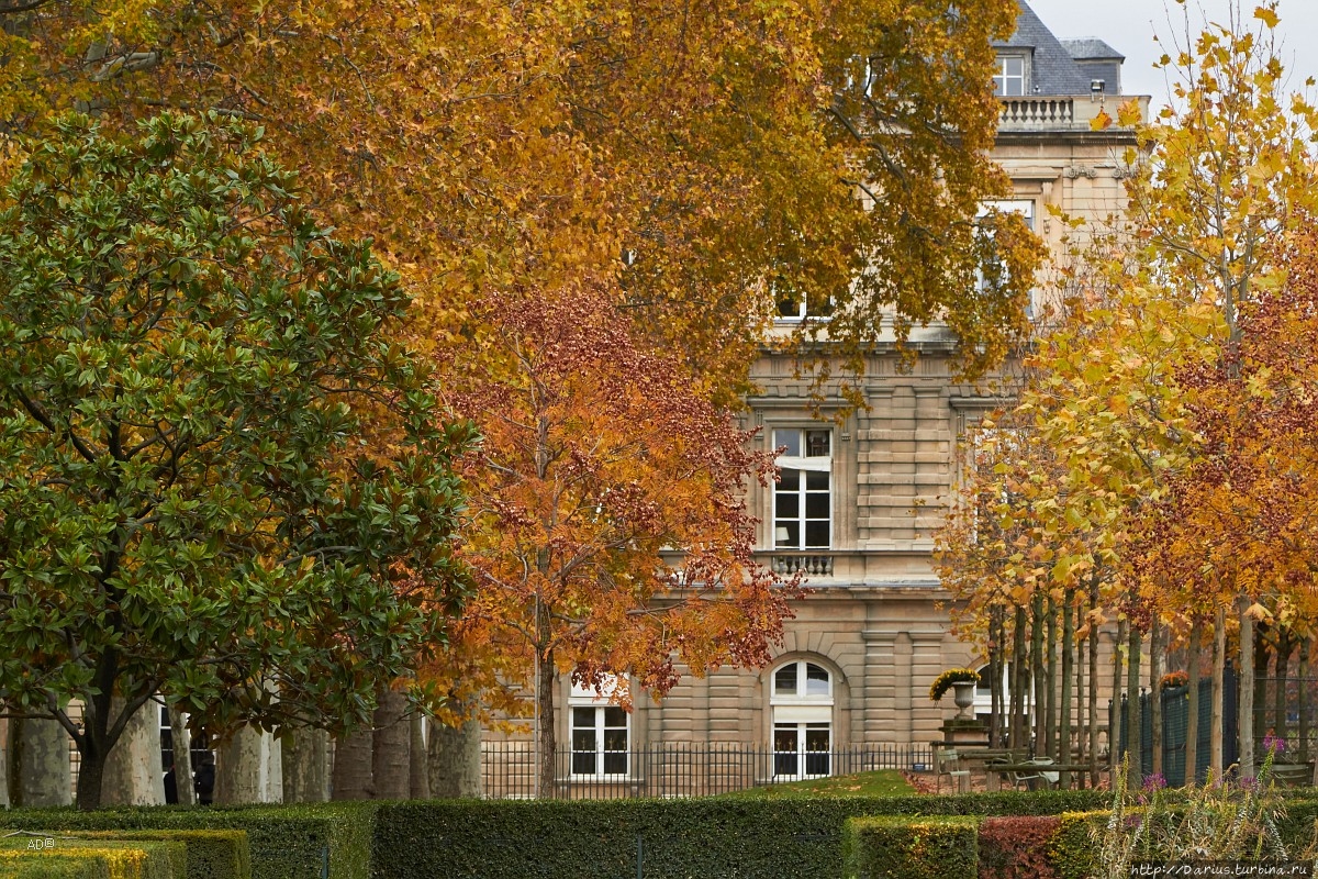 Париж 2018 — Люксембургский сад Париж, Франция