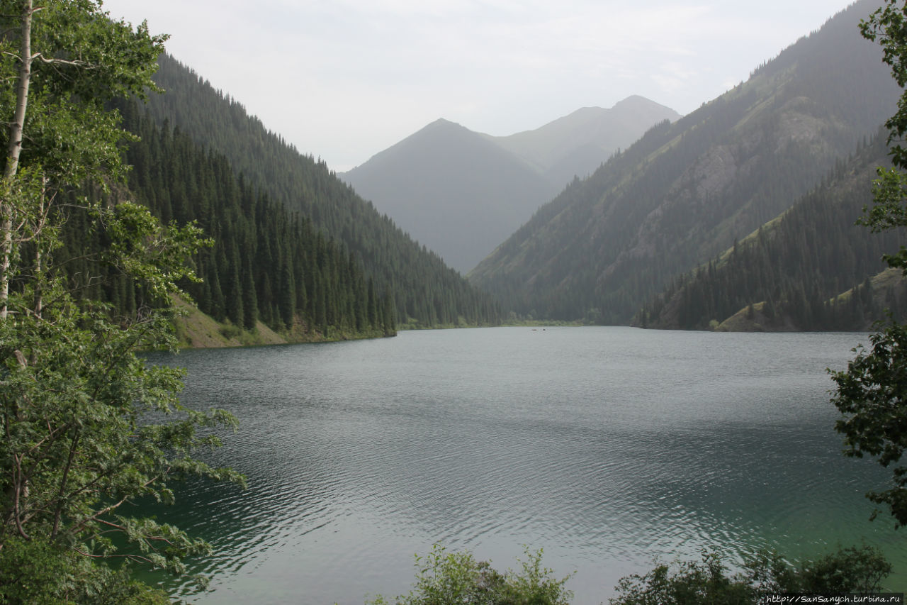 Кольсай