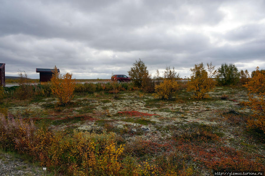 Тихой сапой до Нордкапа