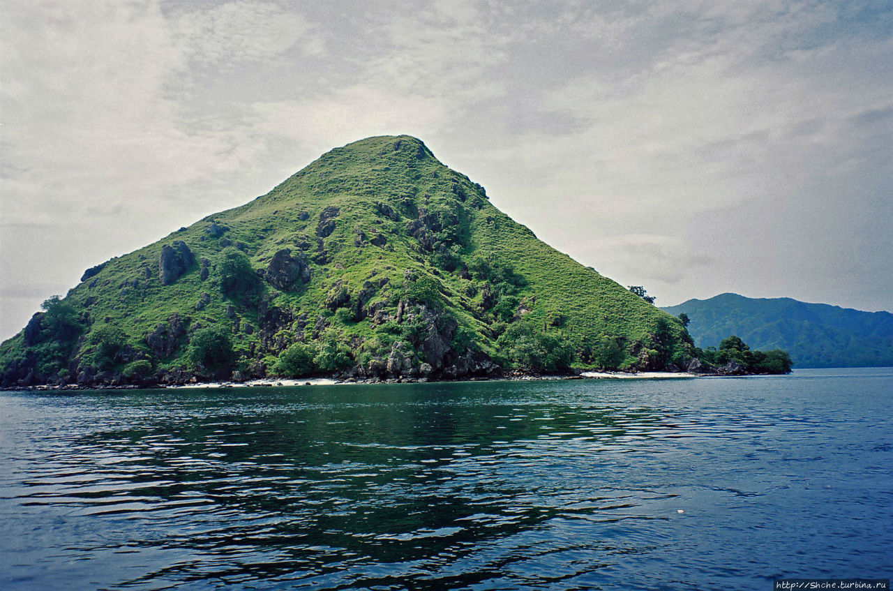 Здесь живет дракон усталый... Остров Ринка, Индонезия