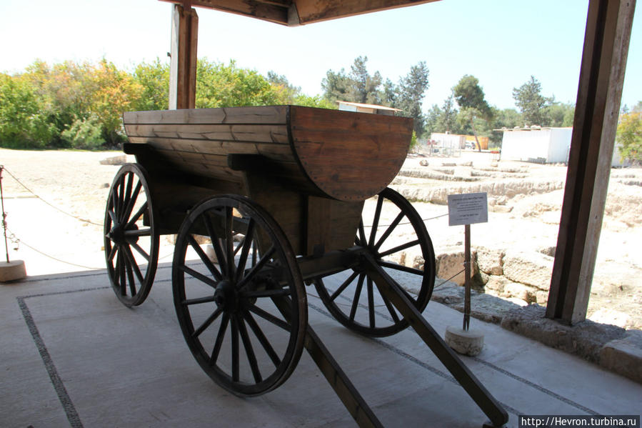 Телега, восстановленная по рисункам со стен и найденному колесу. Расстояние между креплениями колес — 115 см. Ципори, Израиль