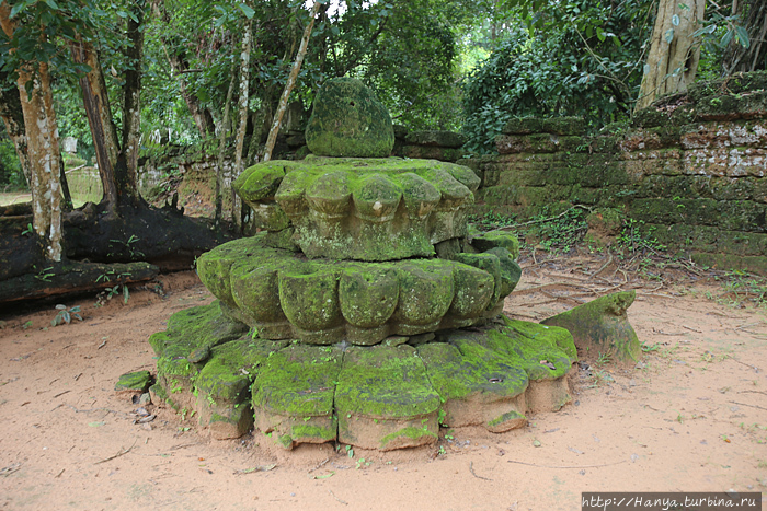 Часть башни (лотос) храма Та Сом. Фото из интернета Ангкор (столица государства кхмеров), Камбоджа