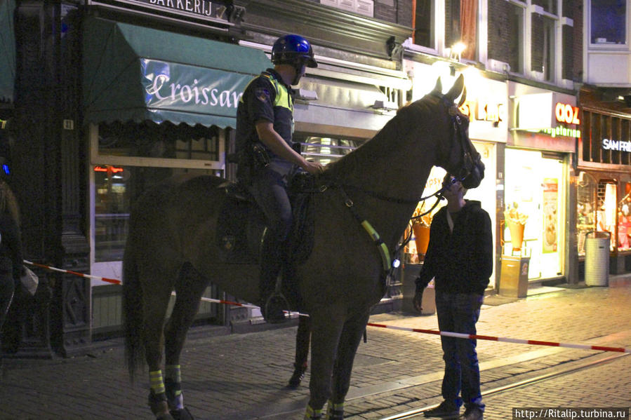 конная полиция. Амстердам, Нидерланды