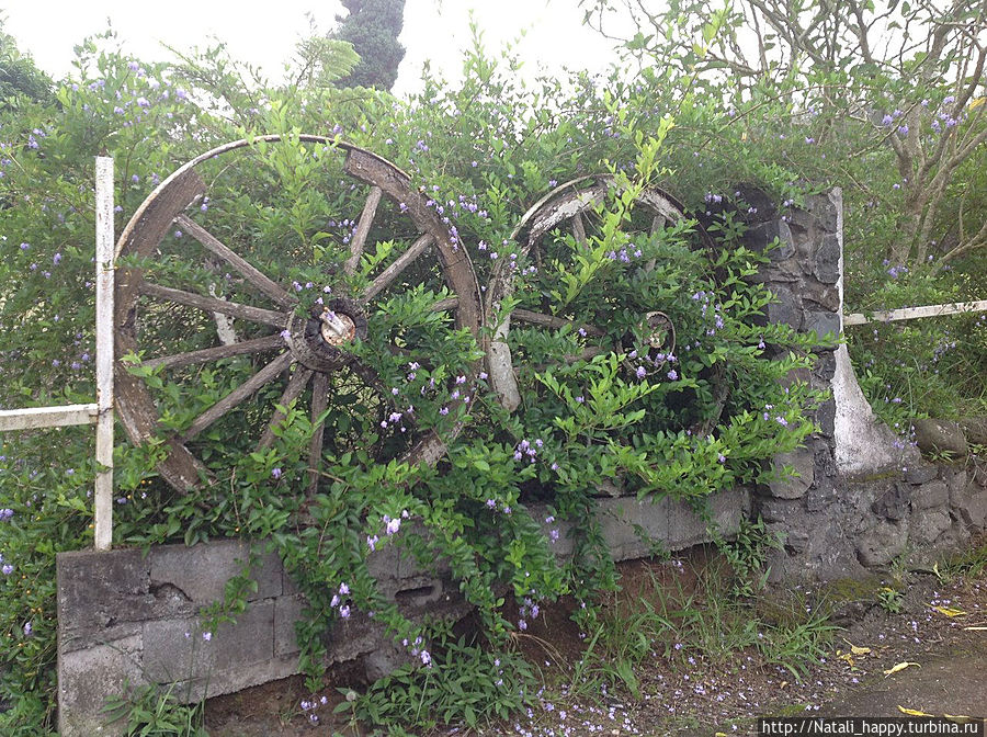 Майдо Реюньон