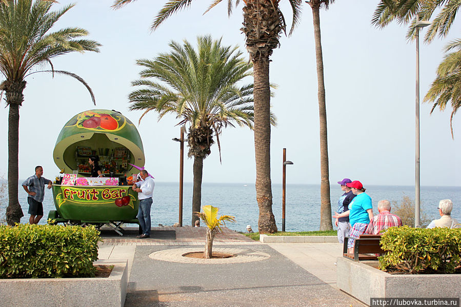 Живые соки прямо на улице.