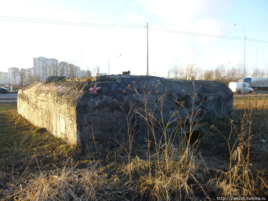 Я этим городом храним. Был город — фронт, была блокада Санкт-Петербург, Россия