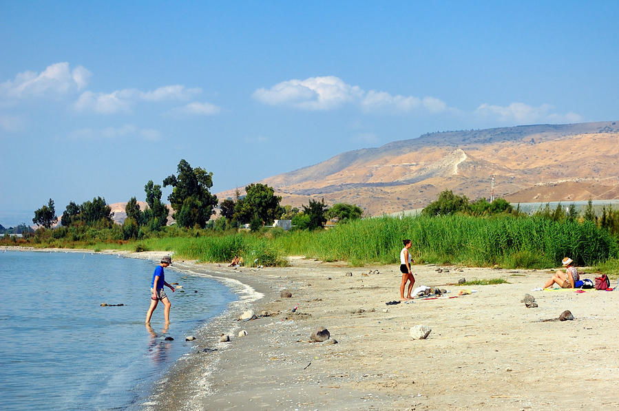 На пляже. Горы вдали — это Голанские высоты Галилейское море озеро, Израиль