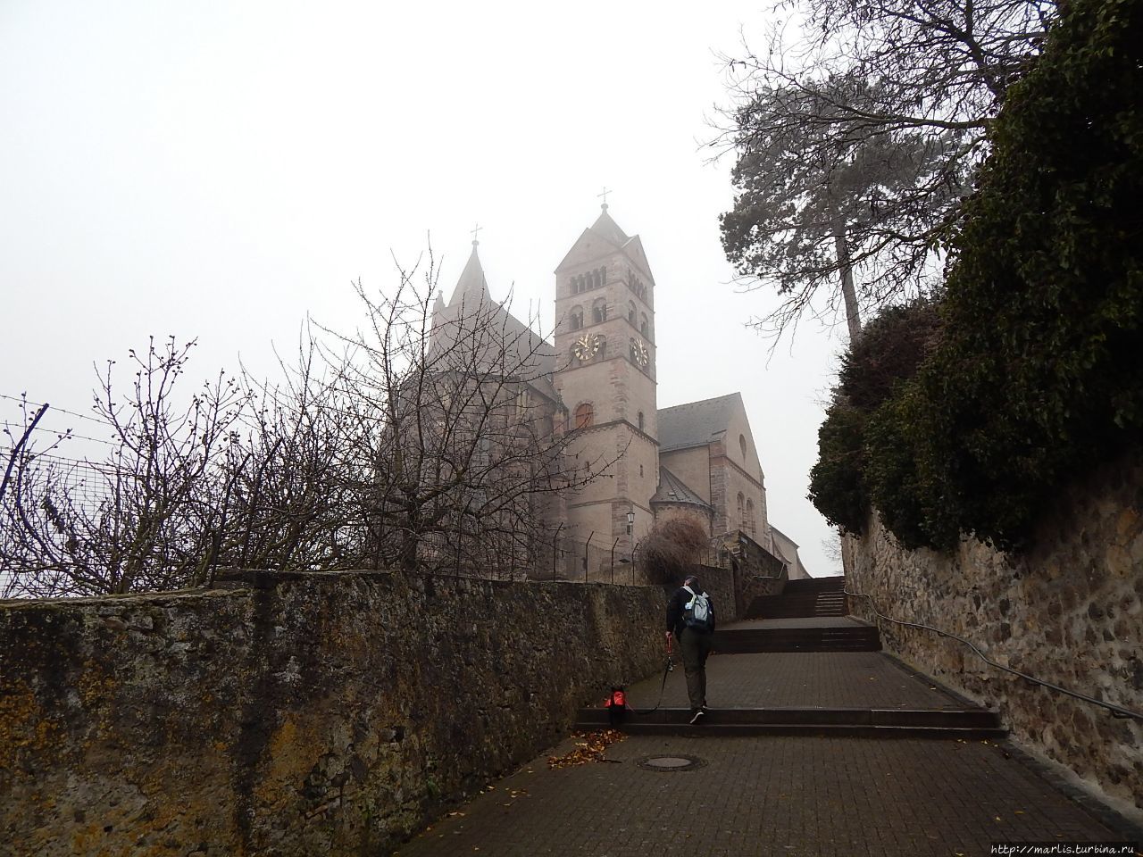 Город в тени собора Брайзах-на-Рейне, Германия