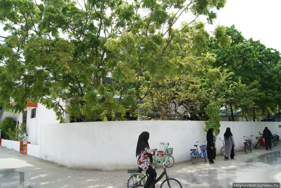 Мальдивы. Обычная жизнь или обратная сторона рая.. Мальдивские острова