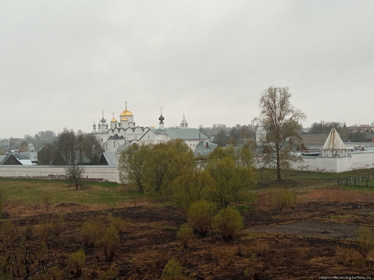Суздаль дождь. Апрельский дождь в Суздале.