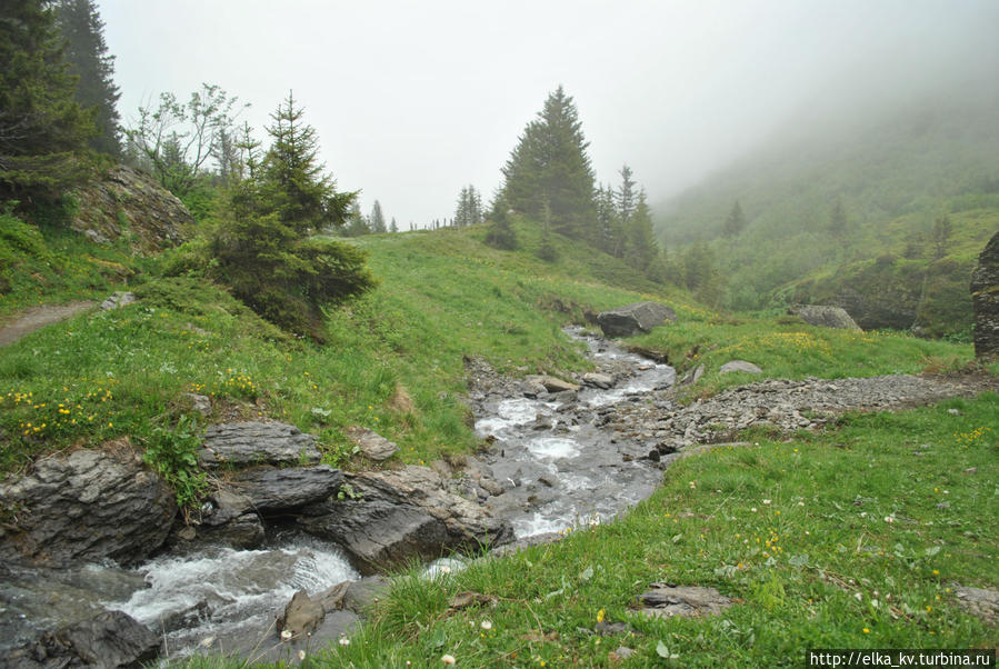 Ёжик в тумане Мюррен, Швейцария