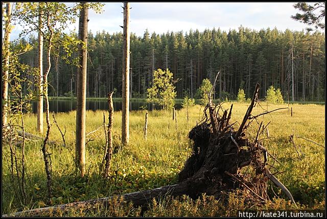 Карелия. Перезагрузка и эмоциональные оргазмы Республика Карелия, Россия