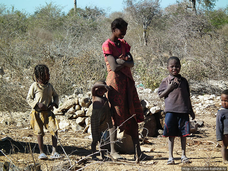 О племена, о нравы! Фамадихана Мадагаскар