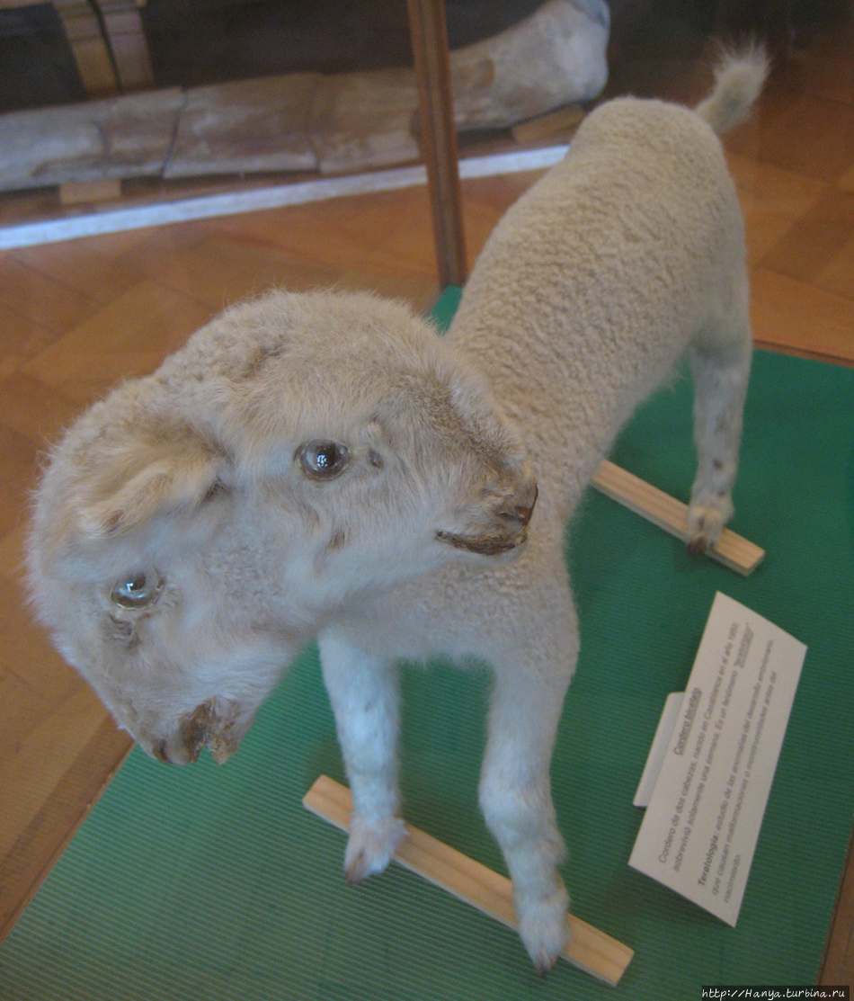 Из интернета